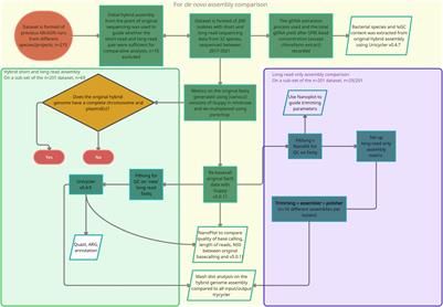 Comparing Long-Read Assemblers to Explore the Potential of a Sustainable Low-Cost, Low-Infrastructure Approach to Sequence Antimicrobial Resistant Bacteria With Oxford Nanopore Sequencing